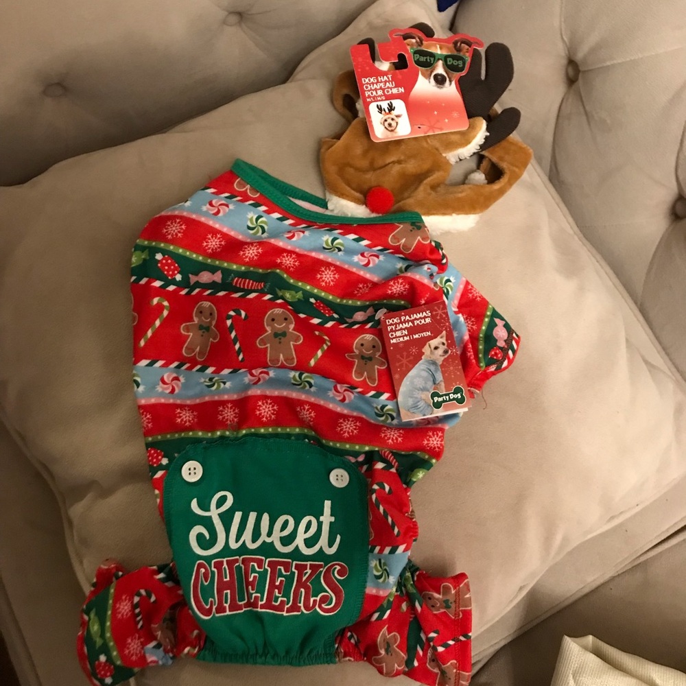 Party Dog Holiday dig hat and pajama
